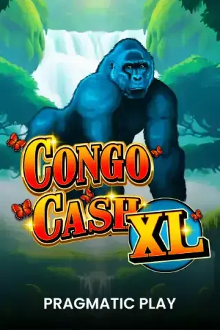 Congo Cash XL